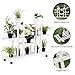 Giantex Rolling Flower Rack Wood Plant Stand on Wheels 6 Wood Shelves 12 Pots Bonsai Display Shelf Indoor Outdoor Yard Garden Patio Balcony Living Room Storage Rack Bookshelf Hollow Shelves (White)