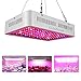ColoFocus 1000W Double Chips Indoor LED Plant Grow Light Kit, Full Specturm for Greenhouse and Indoor Plant Flowering Growing Plants (10W Leds 100Pcs)