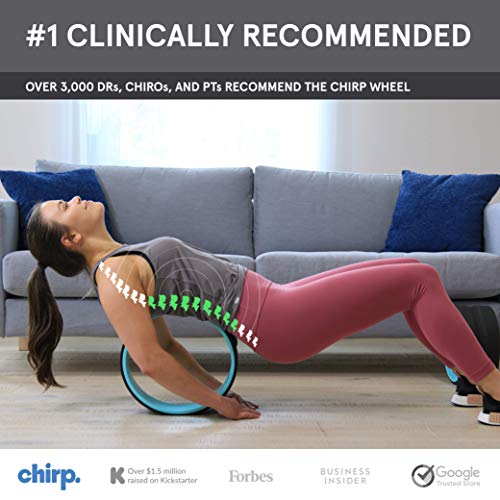 Chirp Wheel Back Stretcher w/ Foam Padding, Set of 3 Body Roller 10" Medium, 6" Deep Tissue, 4