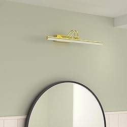 RAIFOOLLY Picture Light,20in Battery Wall