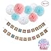 Festivous Wishel Gender Reveal Party Decoration Boy or Girl Banner,9pcs 12
