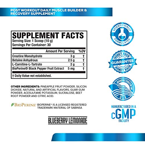 4 Workout+Builder+Creatine+L+Carnitine+L+Tartrate