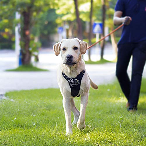 ibuddy dog harness