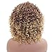 N&T Nicole and Tulip N&T Ombre Afro Kinky Curly Wigs for Black Women Ombre Blonde Synthetic Curly Hair Daily for Women