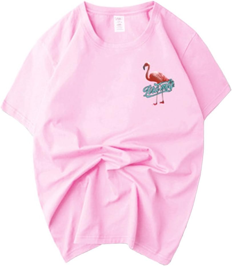 Men's Fashion Flamingo Printed Hipster T-Shirt - Crew Neck Cotton Shirts Short Sleeve Solid Tee Pink TAG M