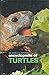 Encyclopedia of Turtles by 