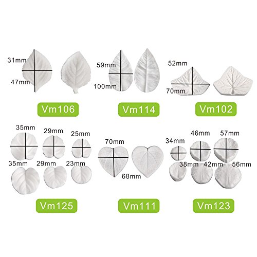 AK ART KITCHENWARE Sugar Paste Flower Veining Molds Petal Veiners Fontant Mold Cake Craft Tools (12kinds of leaves)
