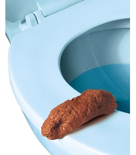 EL PERRO COMIÓ MI TAREA CACA Papel Mierda Broma Falsa Broma CACA Turd