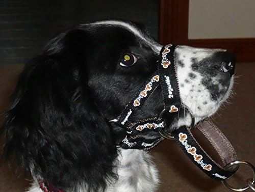 DOGMATIC HEADCOLLAR IN PADDED CUSHIONED WEBBING PCW - BLACK - SIZE 1/2