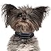 Our K9 Royal Dog No Bark Collar - Anti Bark Vibration Control - 7 Levels Button Adjustable Sensitivity Control - Warning Beep Then Vibration for 15-120 lb. Dogs - Low Battery Alarm