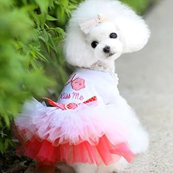 Sunward Puppy Clothing Pet Puppy Small Dog Cat Lace Skirt Princess Tutu Dress Clothes Costume Amazon In Pet Supplies
