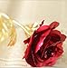 Febou 24K Gold Foil Rose, Gift for Birthday, Mother's Day, Valentine's Day, Anniversary, Home Kitchen Decoration (Red)