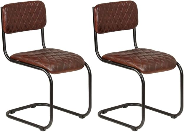 Amazon De Festnight Esszimmerstuhle 2 Stk Lederstuhl 2er Set Freischwinger Stuhle Esszimmer