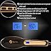 Hair Straightener Brush by Sara Mor: Heated Gold Detangle Comb for Straightening, Infused with Anion, Rapid Heating Ceramic Plates, and Thermal Insulation Tips plus Free Travel Bag and 2 Hair Clips