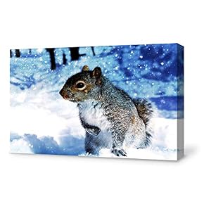 SIGNFORD Canvas Wall Art for Living Room,Bedroom Home...