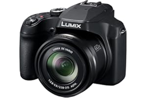 Panasonic Lumix DCFZ80DK Compact Camera + 20-1200mm Zoom Lens, Point and Shoot Digital Camera, 4K Video/Photo Recording, Powe