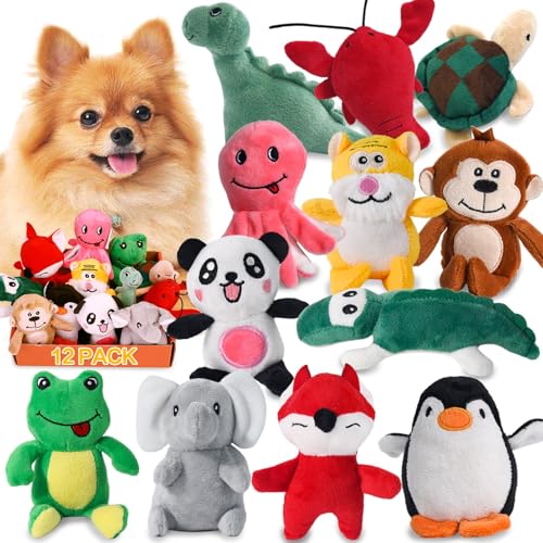 Squeaky Dog Toy