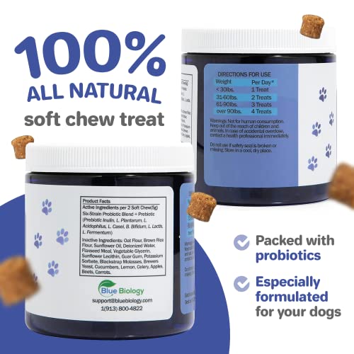 BlueBiology Canine Probiotic Chews for Dogs Vet Formulated for