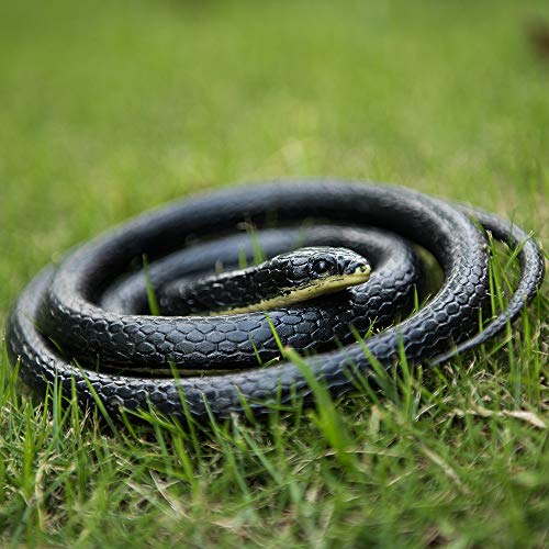 MoloTAR Realistic Rubber Black Snake 52 Inch Long Scare Toy - Thumbnail 4