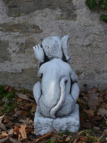 gartendekoparadies.de Gargoyle auf Sockel, Steinfigur, H. 38 cm, 16 kg, Grau, frostsicher aus Steinguss für Außenbereich – Bild 5