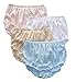 Teri Full Cut Nylon Brief Panty - 4 Pack (331) 5/Assorted