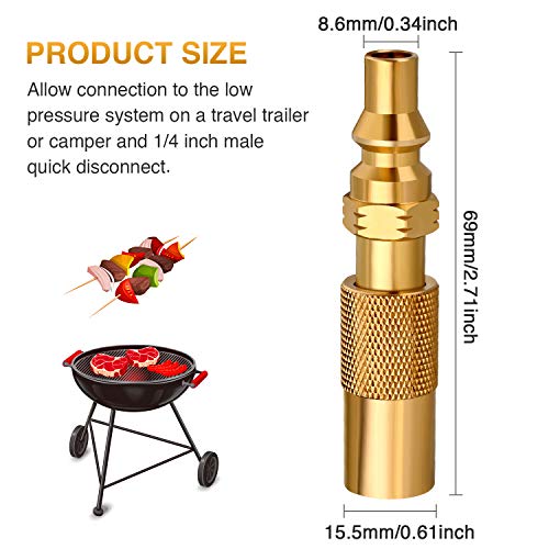 WADEO 1/4" RV LP Quick Connect/Disconnect Conversion Fitting for
