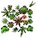 Provident Standard Bulk 20 Artificial Fake Succulent Plants for Home Decor Walls, Centerpieces, Garden, Arrangements||