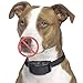 Petacc Anti Barking Collar Electric Stop Barking Dog Devices No Harm E-Collar Training 7 Levels Warning Beep and Shock, Perfect for 15-120 lb Dogs