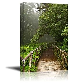 Canvas Prints Wall Art - Rainforest DOI Inthanon in Thailand - 12" x 18"