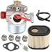 640350 Carburetor with 36905 Air Filter Spark Plug for Tecumseh LV195EA LEV120 LEV100 LEV105 640303 640271 Engine Toro Recycler Lawn mowers