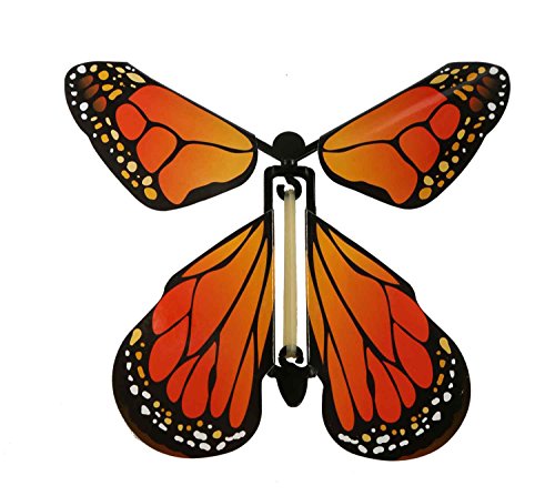 6 Insect+Lore+Butterfly+Caterpillars+Habitat