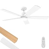 Ceiling Fan With Light 52-Inch, Remote Control