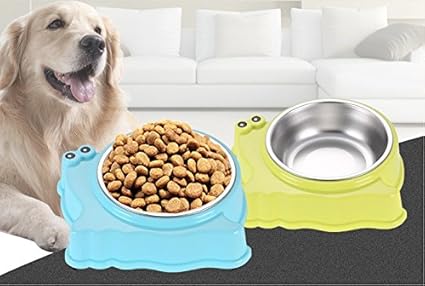 dog food bowl large