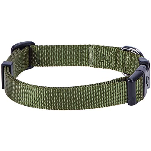 Blueberry Pet Essentials 20+ Colors Classic Nylon Adjustable Dog Collars, Personalized Dog Collars, for Puppy Small… - Image 4