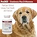 Pet MD - Urinary Tract Support for Dogs and Cats - Cranberry Pills Supplement with DMannose for Urinary Tract Infection and Bladder Relief- 75 Chewable Tablets
