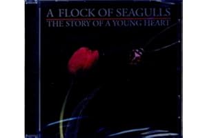 The Story Of A Young Heart