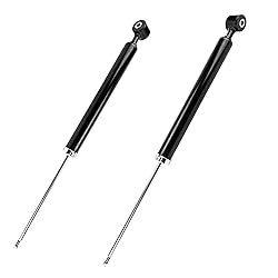 Torchbeam Rear Shock Absorber Struts Replacement