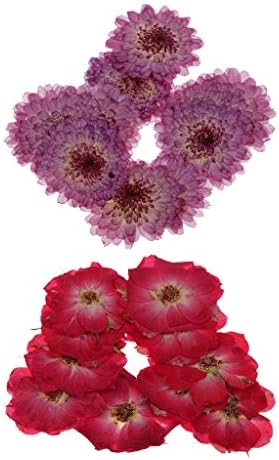 Sharprepublic ドライフラワー 本物 押し花 超美品再入荷品質至上 ハンドメイド素材 ミックス 約個 天然 飾り用品 デコレーション