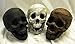 Myard Fireproof Human Fire Pit Skull Gas Log for NG, LP Wood Fireplace, Firepit, Campfire, Halloween Decor, BBQ (White, 1pk)