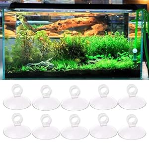 Image of Fish & Aquatic Supplies Parts - 10pcs Aquarium Suction Cup Pump Holder Sucker - Tube Aquarium Sucker Aquarium Aquarium Aquarium Sucker Dc Pump Pump Tank Aquarium Tank Aquarium Holder Cup