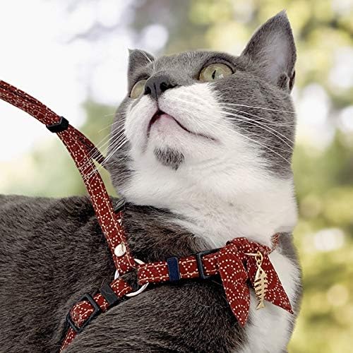 NECO ICHI Zen Fish Charm Cat Harness & Leash Set