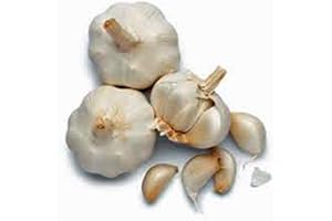 COUNTRY CREEK ACRES GROWING IS IN OUR ROOTS Garlic Bulb (3 Pack), Fresh California SOFTNECK Garlic Bulb for Planting and Growing Your OWN Garlic, Buy Country Creek Brand ONLY NOT FAKES