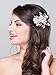 AW BRIDAL Wedding Hair Clip Flower Crystal Hair Veil Comb Bridal Hair Accessories for Women (Sliver)