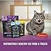 Vital Cat Vital Essentials Minnows Freeze-Dried Cat Treats - All Natural Raw Treat - Made & Sourced in USA - Grain Free - 0.5 oz Resealable Pouch - 3 Pack