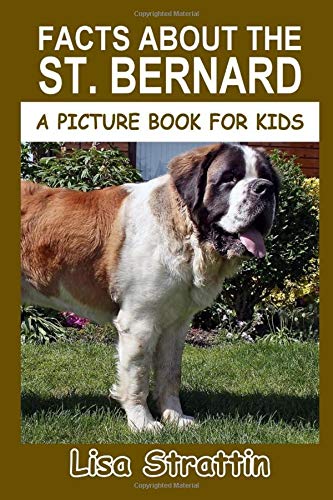 st bernard and kids