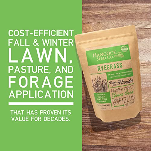 Hancock Seed Co. Ryegrass Seeds 50 lbs. Pricepulse