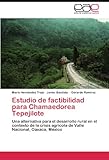 Image de Estudio de factibilidad para Chamaedorea Tepejilote: Una alternativa para el desarrollo rural en el contexto de la crisis agrícola de Valle Nacional,