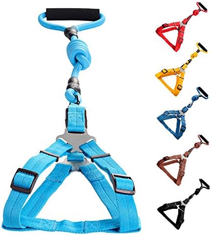 Vicform Dog Harness &amp; Leash Set: Heavy Duty Poly/Nylon Straps/ Anti-Twist Leash on Spin Clasp- Durable Braid Leash / Comfort Foam Handle/ Bright Colors,Small,Sky Blue