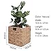 StorageWorks Wicker Baskets for Storage with Liners, Water Hyacinth Storage Baskets for Organizing, Handwoven Wicker Storage Cubes, Medium, 2 Pack