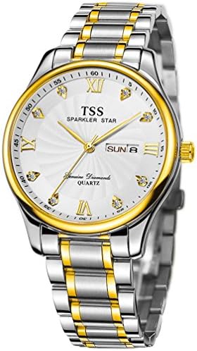 TSS Men's Quartz Ultrathin Two Tone Watch Stainless Steel Band T6011H1